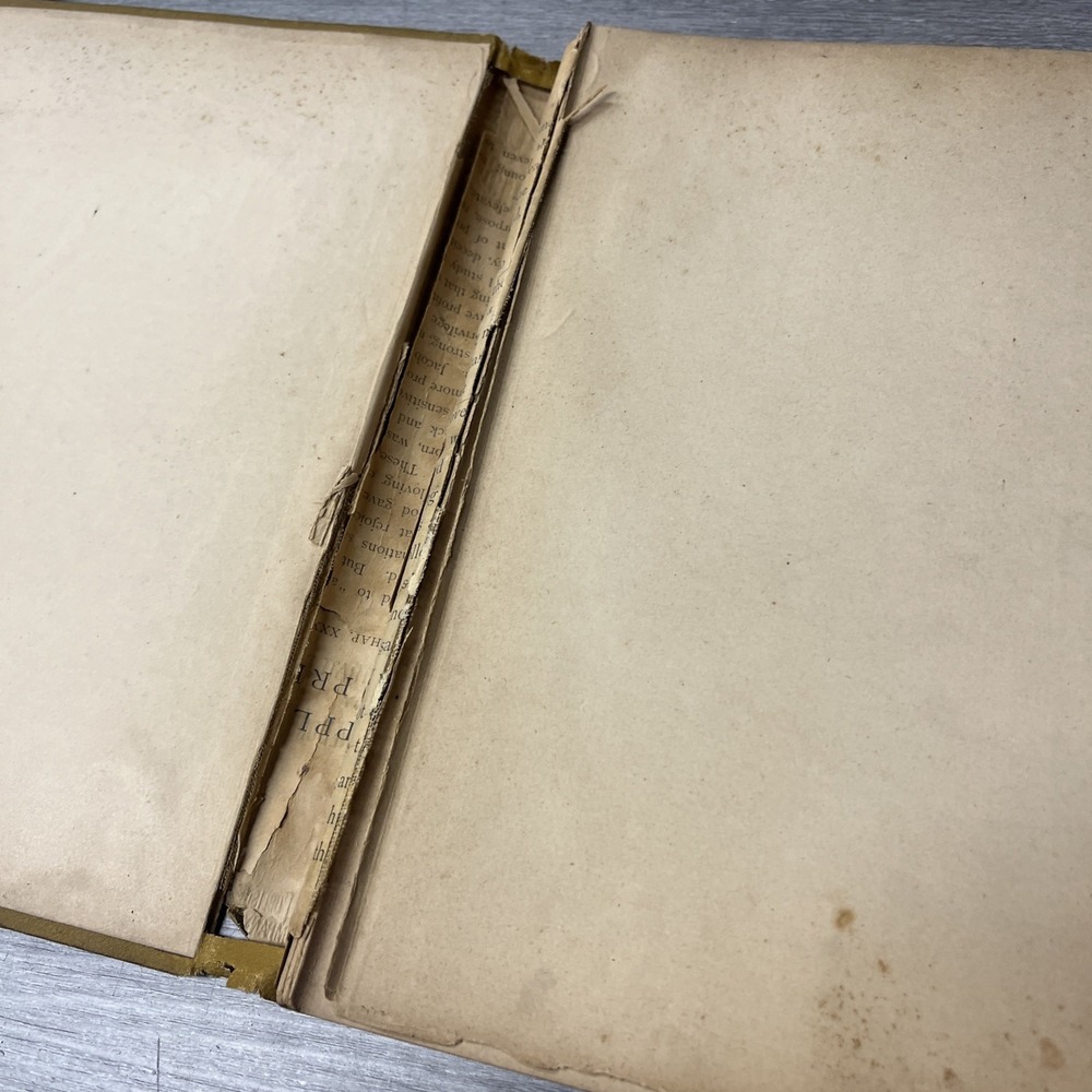 The Dore Bible Gallery 100 Illustrations by Gustave Dore No Date Circa 1880 - Picture 5 of 10